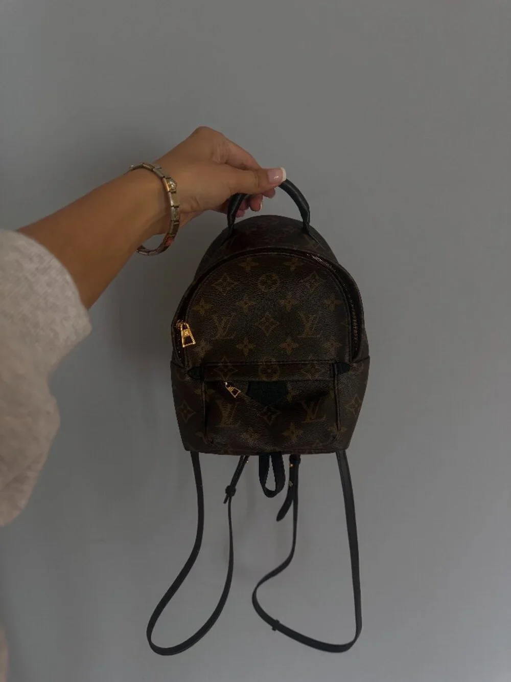 Louis Vuitton Palm Springs Mini Backpack with Gold Hardware